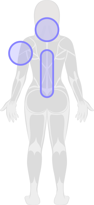 Back, Neck & Spine Conditions