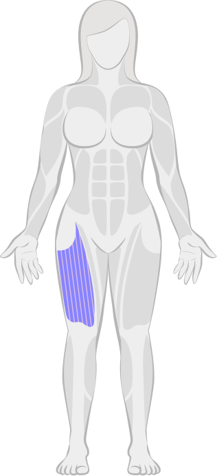 Sports Injuries & Soft Tissue
